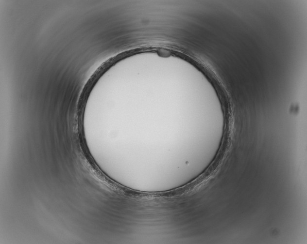 X0000110920924200907021455
