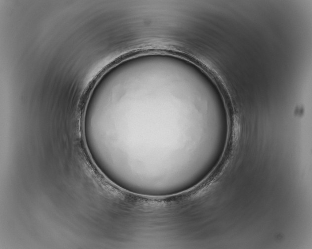 X0000110920925200907021455