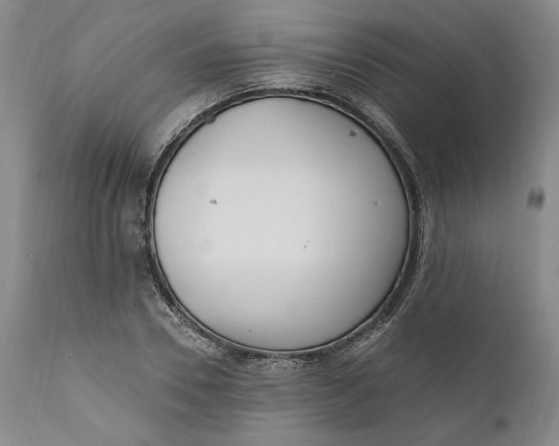 X0000110920930200907021455