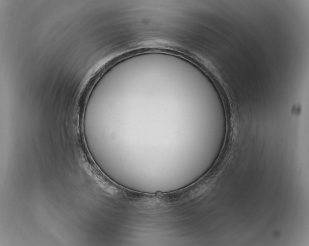 X0000110920931200907021455