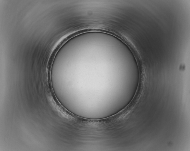 X0000110920932200907021455