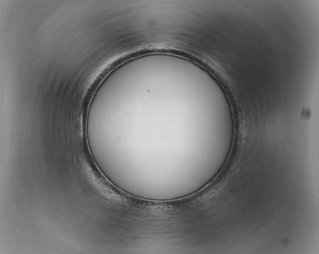 X0000110920934200907021455