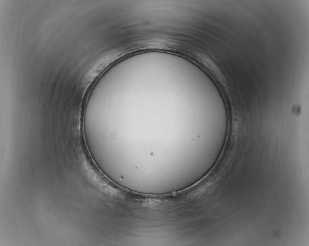 X0000110920938200907021455