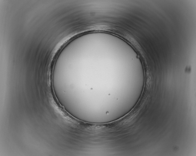 X0000110920939200907021455