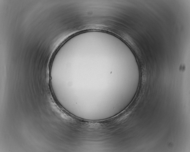 X0000110920940200907021456