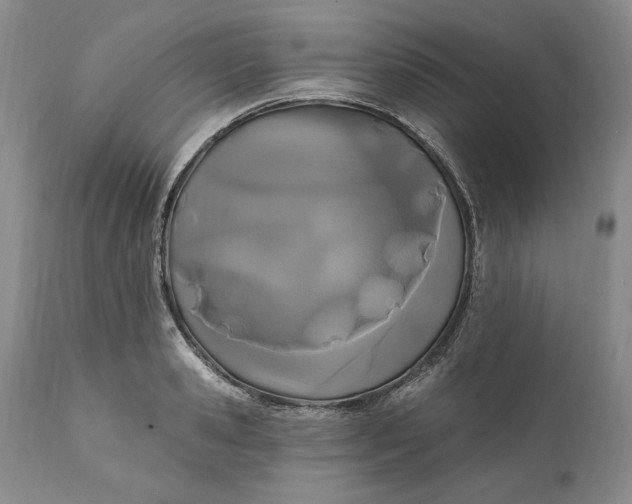 X0000110920941200907021456