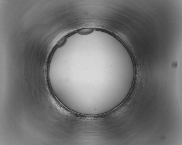 X0000110920942200907021456
