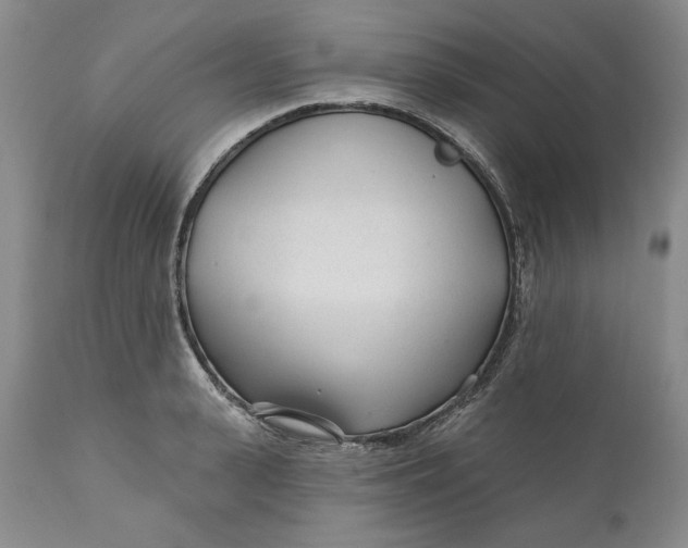 X0000110920943200907021456