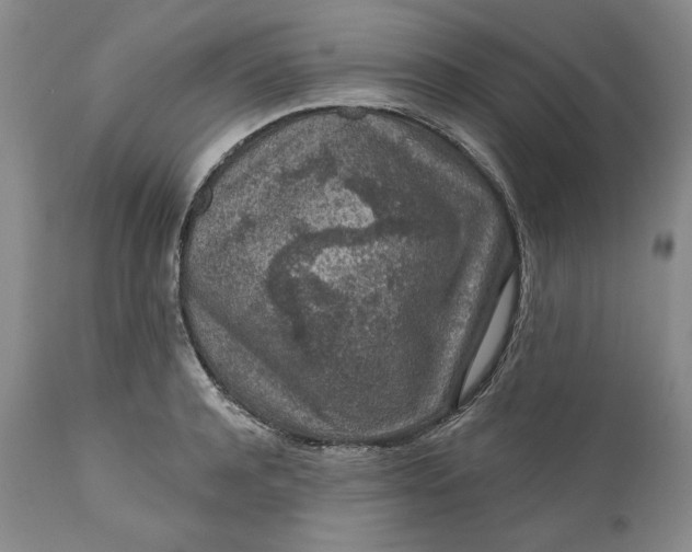 X0000110920944200907021456