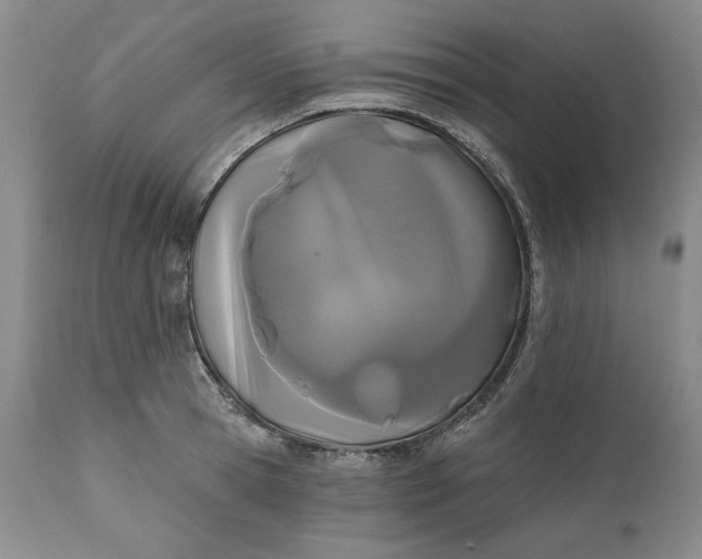 X0000110920945200907021456