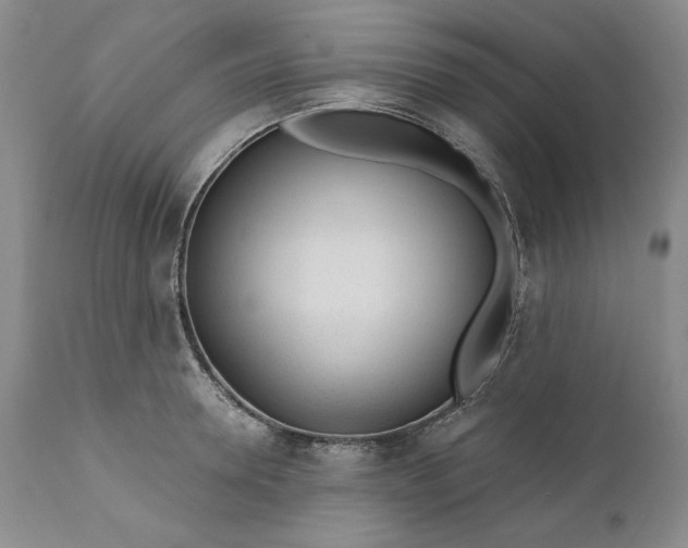 X0000110920946200907021456