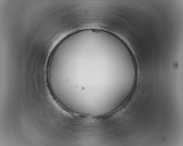 X0000110920949200907021456