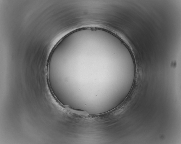 X0000110920951200907021456