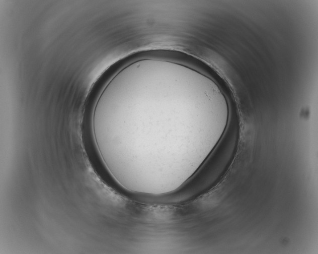 X0000110920952200907021456