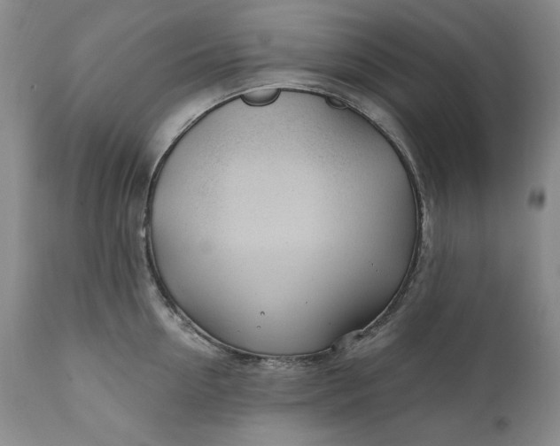 X0000110920954200907021456