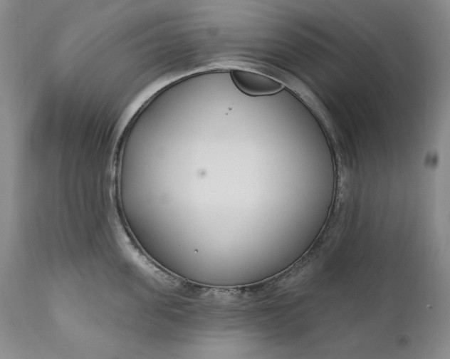X0000110920955200907021456