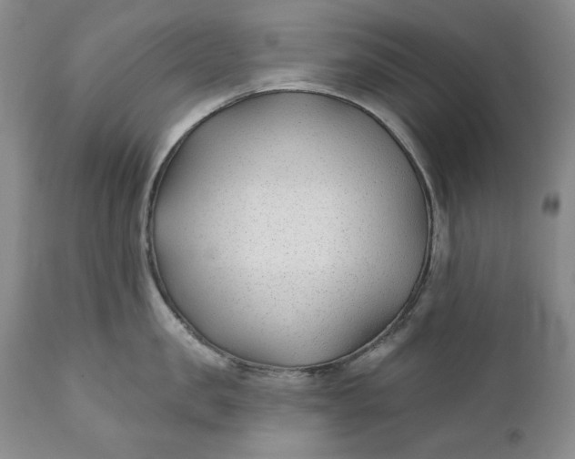 X0000110920957200907021456