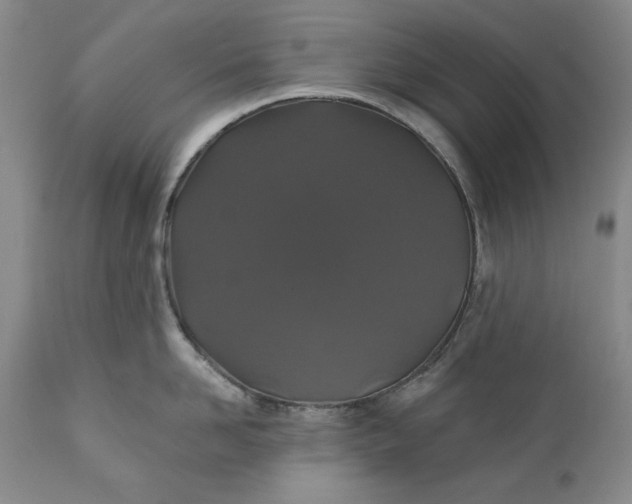 X0000110920958200907021456