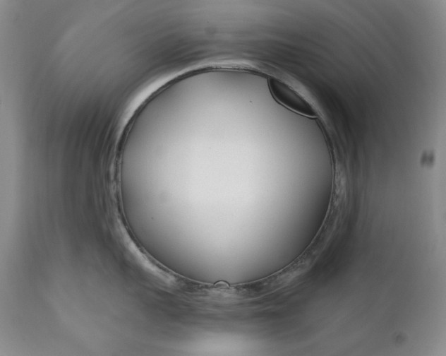 X0000110920959200907021456