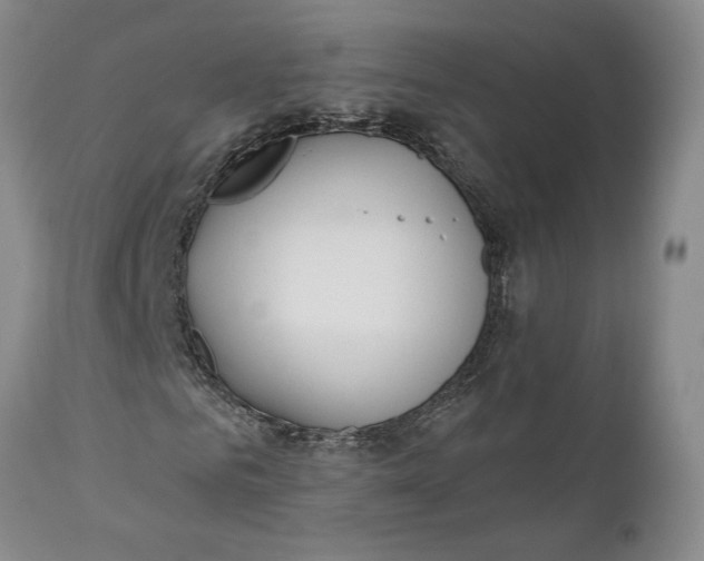 X0000110920961200907021455