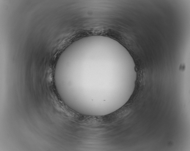 X0000110920962200907021455