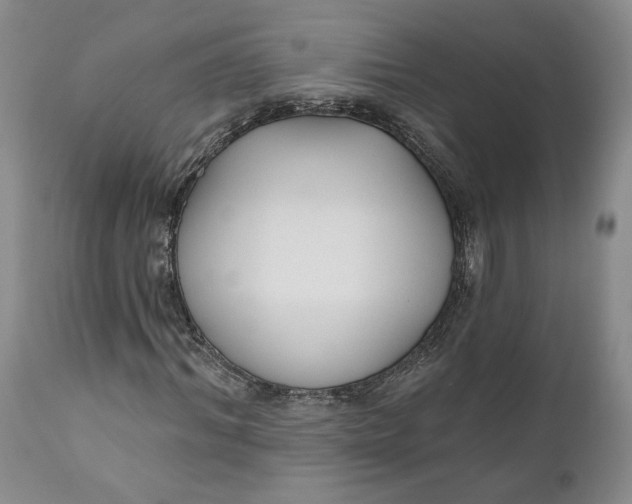 X0000110920964200907021455
