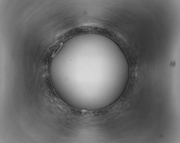 X0000110920965200907021455