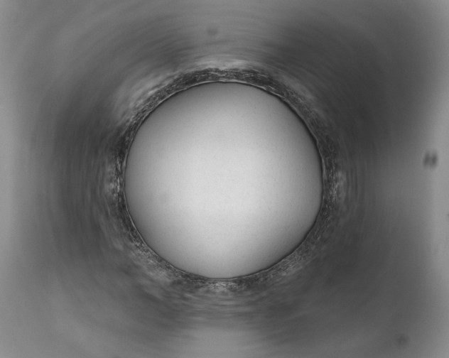 X0000110920966200907021455