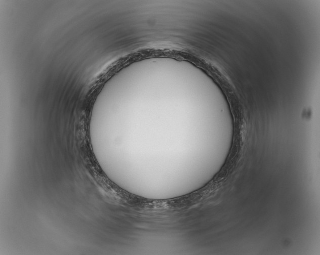 X0000110920968200907021455