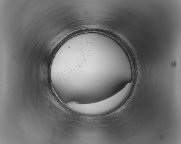 X0000110920969200907021455