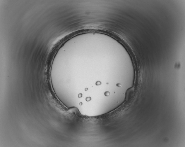 X0000110920971200907021455