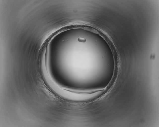 X0000110920973200907021455