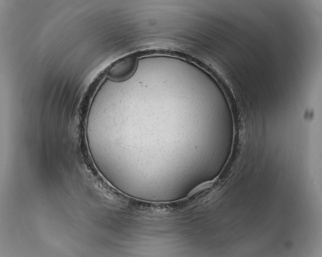 X0000110920975200907021455