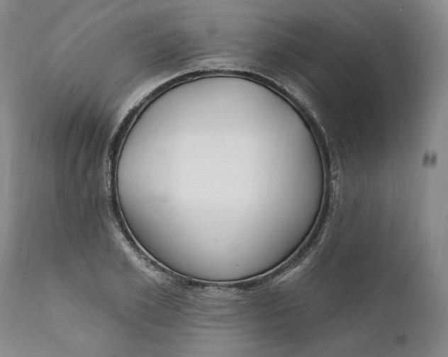 X0000110920981200907021455