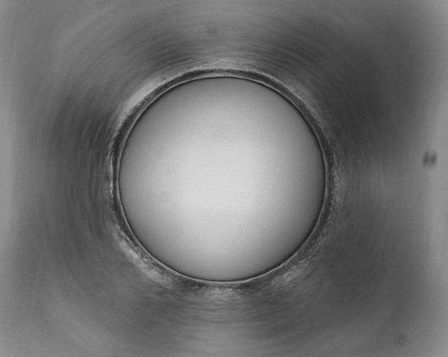 X0000110920982200907021455