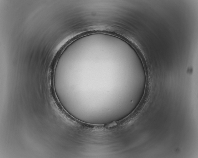 X0000110920983200907021455