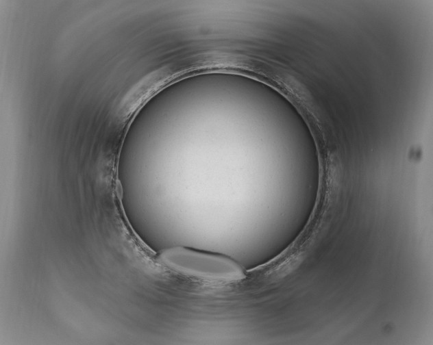 X0000110920985200907021455