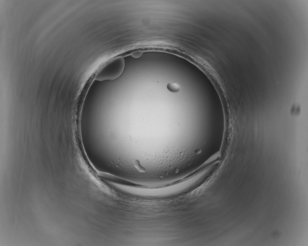 X0000110920989200907021455