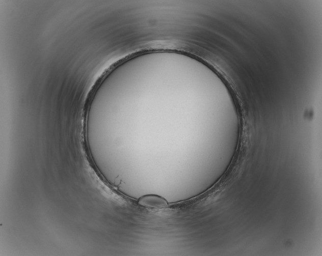 X0000110920992200907021455