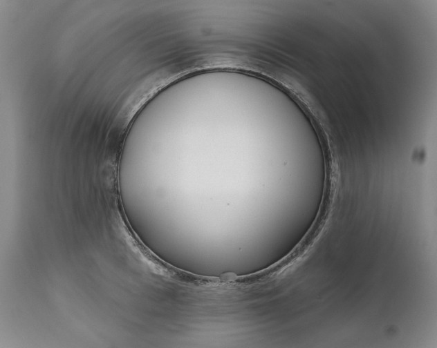 X0000110920993200907021455