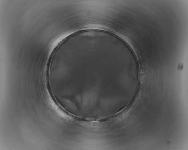 X0000110920995200907021455