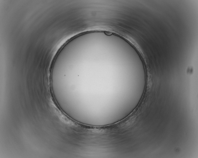 X0000110920996200907021455