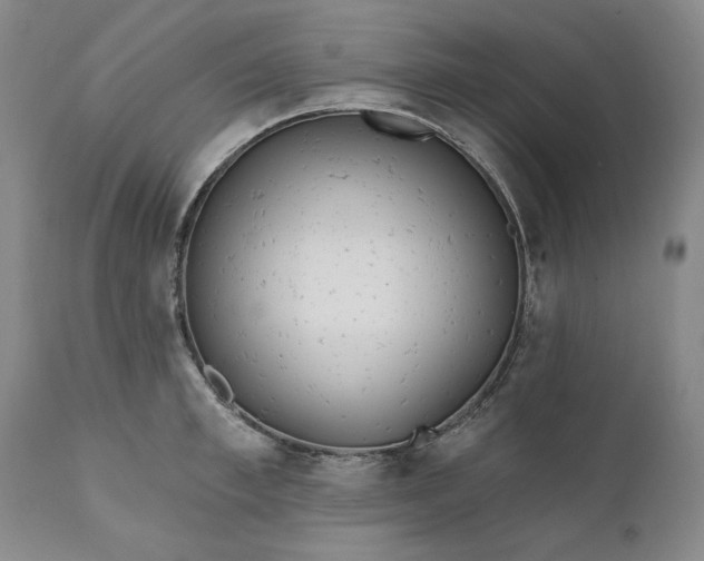 X0000110920997200907021455