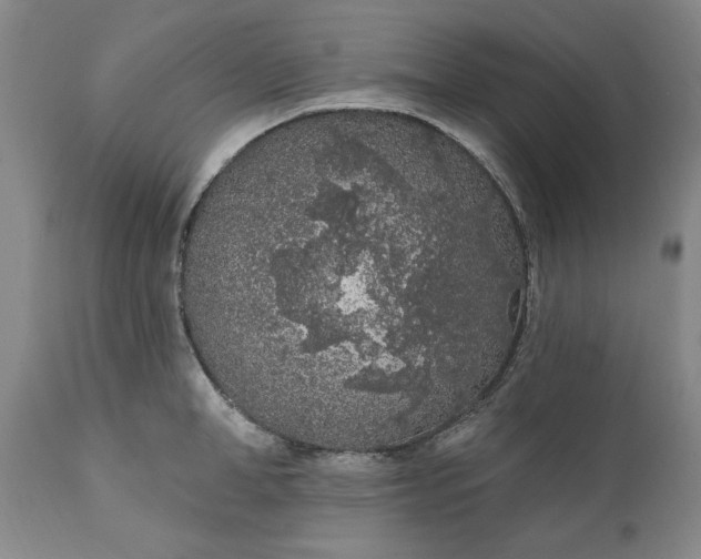 X0000110920998200907021455