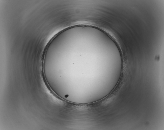 X0000110920999200907021455