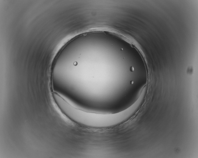 X0000110921005200907021455