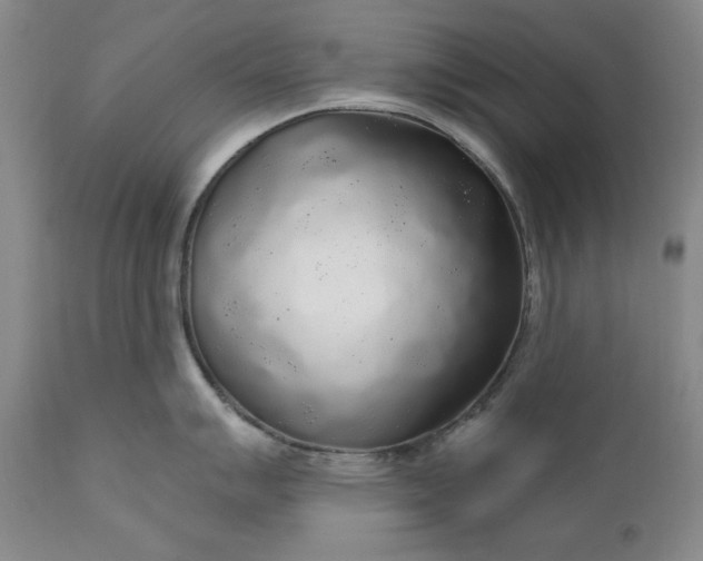 X0000110921007200907021454