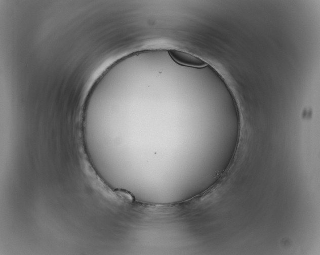 X0000110921008200907021454