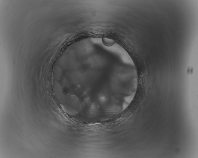 X0000110921009200907021454