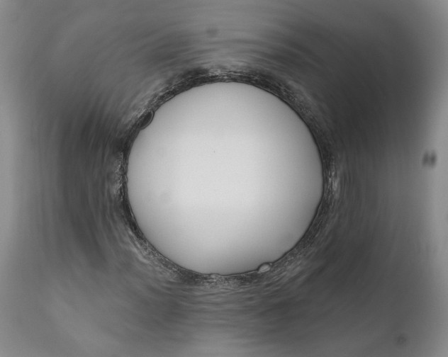 X0000110921012200907021454